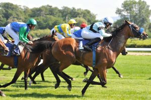 A horse race taking place in the black forest region, in which the hotel SCHWARZWALD PANORAMA is located