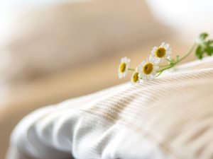 Daisies on top of white bedsheets, a one of a kind atmosphere at the selfness hotel SCHWARZWALD PANORAMA
