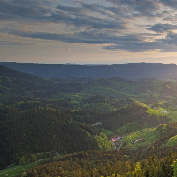 Landschaft mit Wäldern und Bergen im Schwarzwald