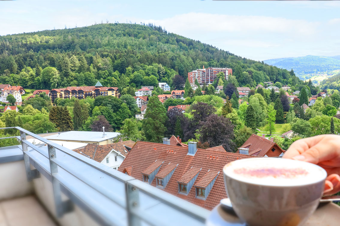 The beautiful view from a balcony in the Hotel Schwarzwald Panorama: A mountain covered in vivid green trees and a blue sky.